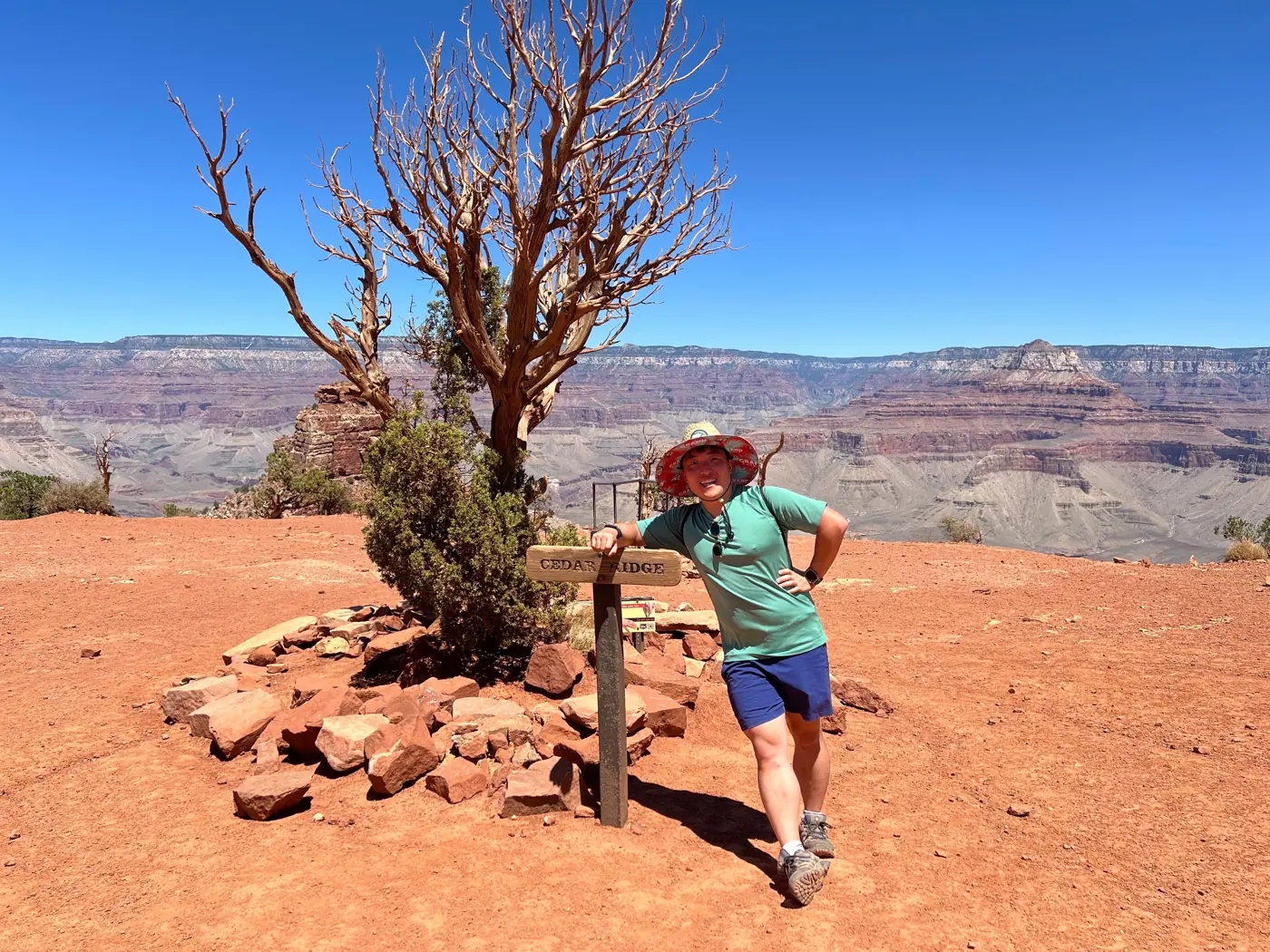 Will standing next to a twisted dead tree on the Grand Canyon rim
